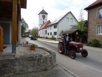 2015-04-30 TTC Maibaum stellen 002 (P1090062)